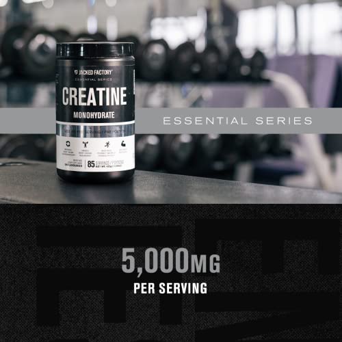 Jacked Factory Creatine Monohydrate Powder 425g - Creatine Supplement for Muscle Jacked FactoryUS supplements