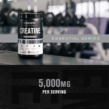 Jacked Factory Creatine Monohydrate Powder 425g - Creatine Supplement for Muscle Jacked FactoryUS supplements