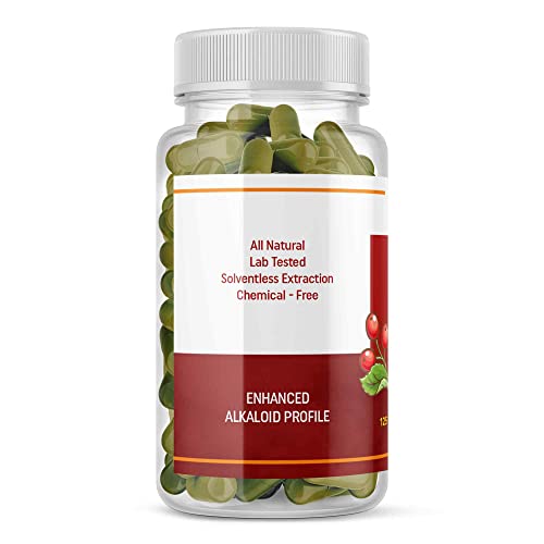 Full Spectrum Yerba Mate Capsules - Boosts Energy & Mental Focus - Supports Health EthnospotUS supplements