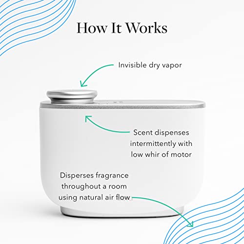 Aera Majestic Fir Home Fragrance Scent Refill - Notes of Fir and Juniper - Works with The Aera Diffuser AERAAu supplements