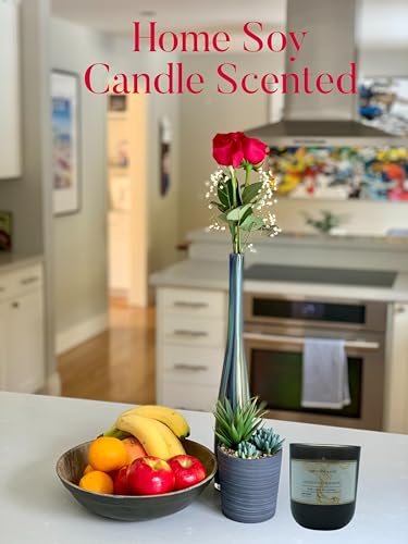 Sandalwood Bourbon Non-Toxic Candles | Natural Candles for Men |Aromatherapy Candle Relaxing Terreux Mind & BodyAu supplements