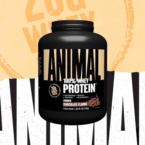 Animal 100% Whey Protein Powder – Whey Blend for Pre- or Post-Workout, Recovery AnimalUS supplements