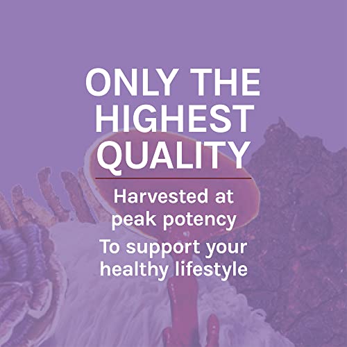 Host Defense, Lion's Mane Capsules, Promotes Mental Clarity, Focus and Memory Host DefenseUS supplements