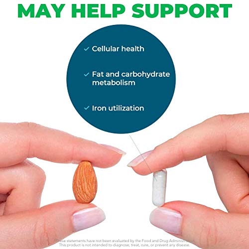 Seeking Health Molybdenum 500, Molybdenum Glycinate Chelate Supplement Seeking HealthAu supplements