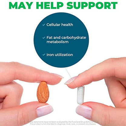 Seeking Health Molybdenum 500, Molybdenum Glycinate Chelate Supplement Seeking HealthUS supplements