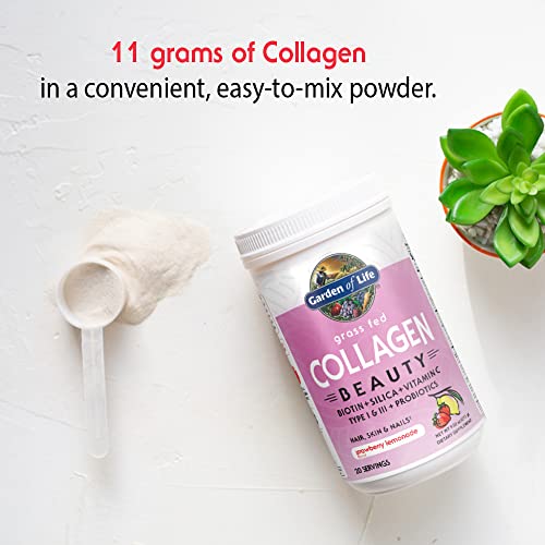Garden of Life Grass Fed Collagen Beauty - Strawberry Lemonade, 20 Servings - Collagen Garden of LifeAu supplements