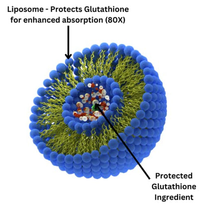 Research Labs Liposomal Glutathione Supplement w/Gluta-IV™, 100x Enhanced Absorption Research LabsUS supplements