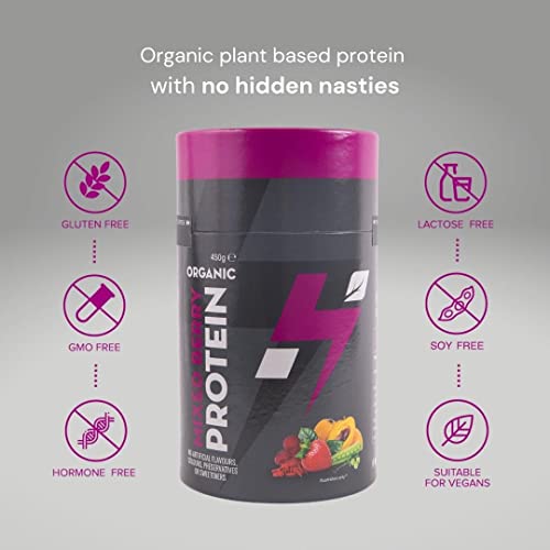 Hylife Nutrition - Organic Protein Powder - Mixed Berry Vegan Protein Powder (450g - 15 Servings) Hylife NutritionAu supplements