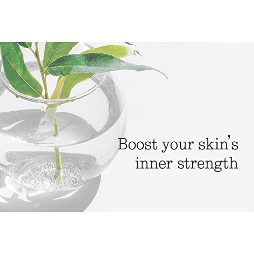 Pyunkang Yul Low pH Feminine Wash with Green Tea, Cica, Moisturizing for Women Vaginal Health Pyunkang YulAu supplements