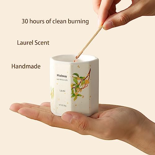 Modoray Scented Candle, Candles for Home Scented, Aromatherapy Candle，Long Lasting Natural ModorayAu supplements
