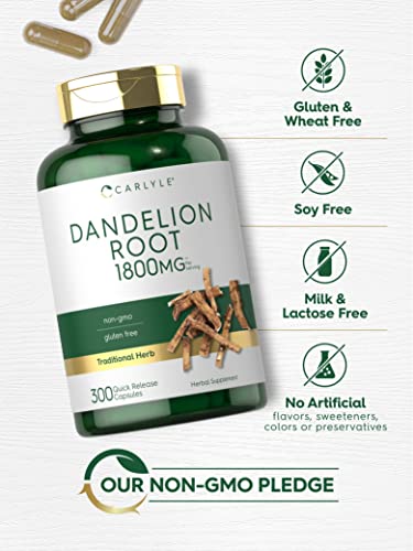 Carlyle Dandelion Root Capsules 1800mg | 300 Count | Non-GMO, Gluten Free CarlyleUS supplements
