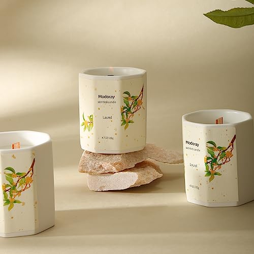 Modoray Scented Candle, Candles for Home Scented, Aromatherapy Candle，Long Lasting Natural ModorayAu supplements
