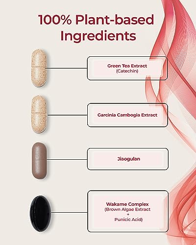 FOODOLOGY Burningology D-Day (Pack of 1, 10 Days) - Jiaogulan, Wakame Complex, Green Tea Extract FOODOLOGYUS supplements