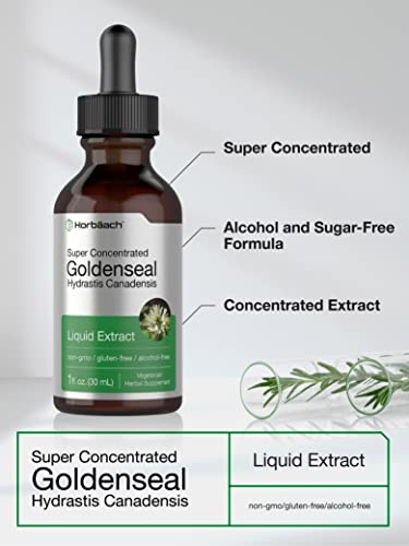 Goldenseal Root Extract Liquid | 1 fl oz Tincture | Super Concentrated | Alcohol Free HorbäachAu supplements