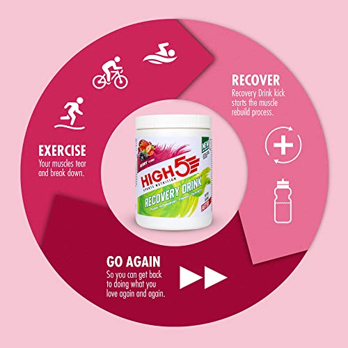 HIGH5 Recovery Drink | Whey Protein Isolate | Promotes Recovery | (Berry, 450g) HIGH5US supplements