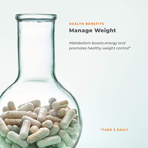 Metabolism - Weight Control Support & Energy Boosting Supplement - Natural Appetite LifeSeasonsUS supplements