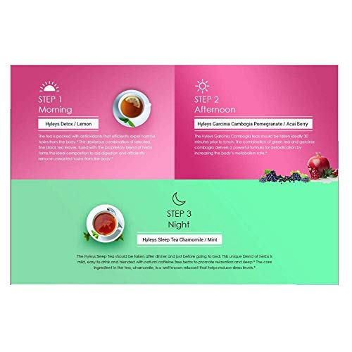 Hyleys Detox Tea for Cleanse and Weight Loss - 28 Day Kit - 84 Tea Bags (9 Pack) HYLEYSUS supplements
