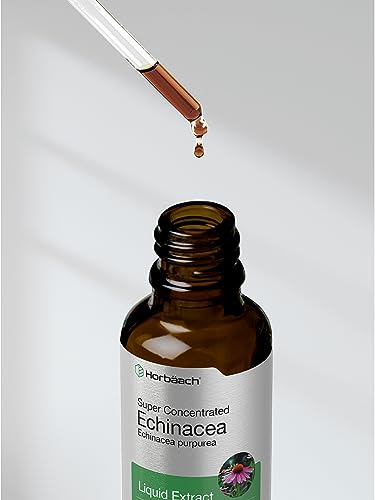 Echinacea Drops Liquid Extract | 2 fl oz | Super Concentrated Tincture | Alcohol Free HorbäachAu supplements