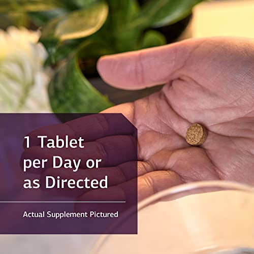 Standard Process Iodomere - Whole Food Metabolism and Thyroid Support with Echinacea Standard Process Inc.Au supplements
