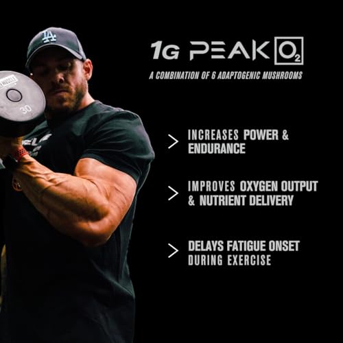 Jacked Factory Build-XT Daily Muscle Builder & Performance Enhancer - Muscle Building Jacked FactoryUS supplements