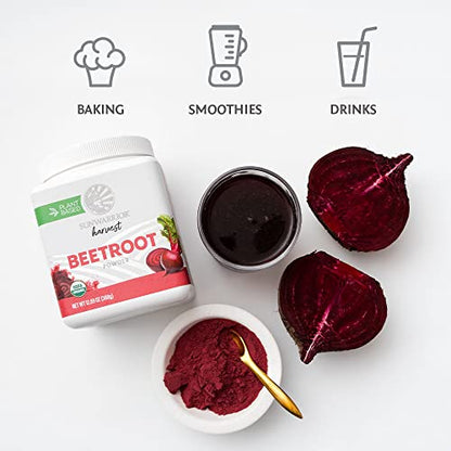 Sunwarrior Beet Root Powder Nitric Oxide Increase Stamina Blood and Flow Circulation SunwarriorUS supplements
