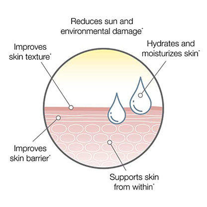SeroVital Skin Restore, Healthy Skin Supplement with Ceramides and Hyaluronic Acid SerovitalUS supplements