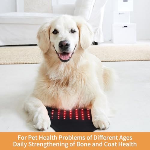 SUNNYOUNG Red Light Therapy Belt, Infrared Light Therapy Wrap Muscle Relaxing Belt with 120 LED Lights sunnyoungAu supplements