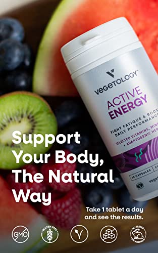 Vegetology Energy Supplements – Iron, Vitamin C & B2, B12, Folate & More – Vitamin Supple VEGETOLOGYUS supplements