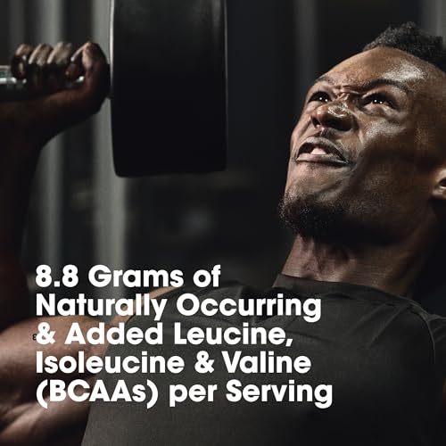 Optimum Nutrition Platinum Hydrowhey Protein Powder, 100% Hydrolyzed Whey Isolate Optimum NutritionUS supplements