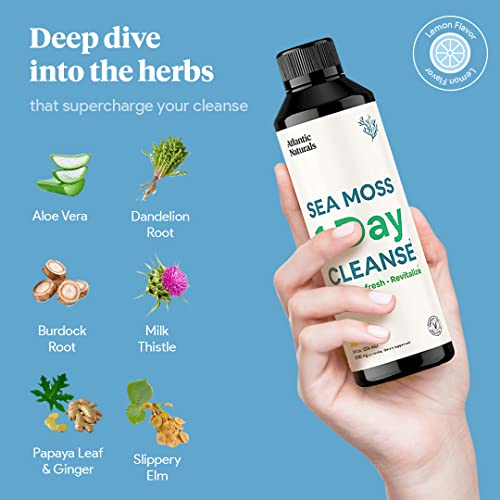 Sea Moss 1 Day Cleanse - Full Body Detox to support bowel movements, Kidney Health Atlantic NaturalsUS supplements