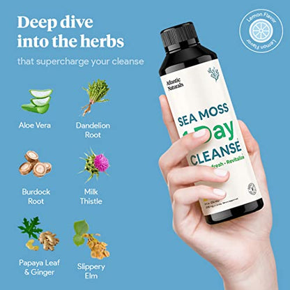 Sea Moss 1 Day Cleanse - Full Body Detox to support bowel movements, Kidney Health Atlantic NaturalsUS supplements