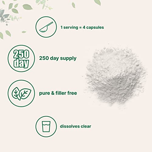 Pure L Serine Powder, 500 Grams (250 Day Supply), Filler Free, Supports Production Micro IngredientsAu supplements
