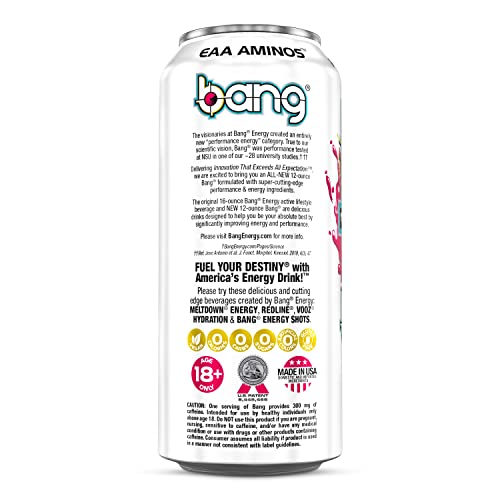 Bang Energy Power Punch, Sugar-Free Energy Drink, 16-Ounce (Pack of 12) BANGAu supplements