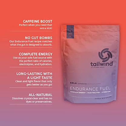 Tailwind Nutrition Endurance Fuel, Caffeine Drink Mix with Electrolytes TailwindUS supplements