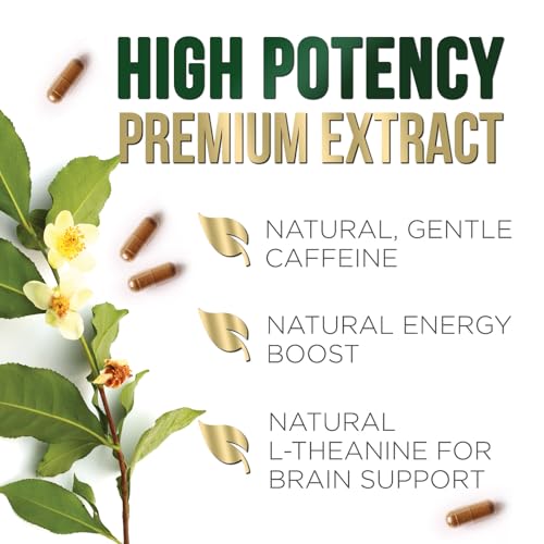 Nature's Green Tea Extract Pills 98% Standardized EGCG 1000mg - 3X Strength for Natural Nature's NutritionUS supplements