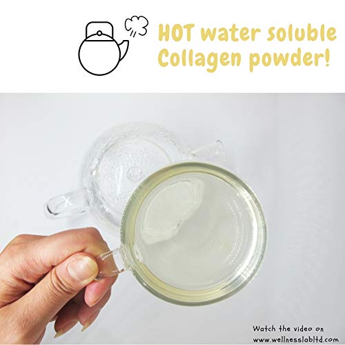 Cleanest Marine Collagen Peptides | Wellness Lab 454g | Type I,III | Highest Bioavailability Hydrolysed Protein Wellness LabAu supplements