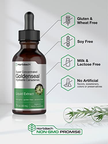 Goldenseal Root Extract Liquid | 1 fl oz Tincture | Super Concentrated | Alcohol Free HorbäachAu supplements