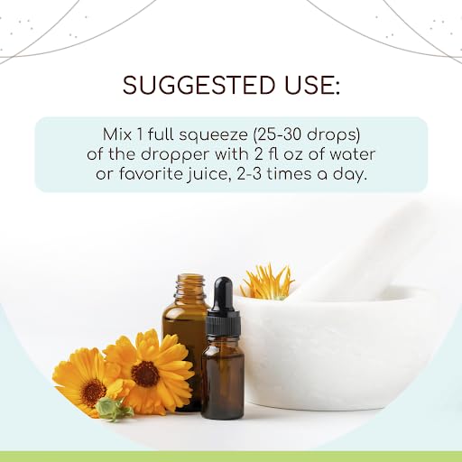 Barberry Root B120 Alcohol-Free Herbal Extract Tincture, Concentrated Liquid Drops Natural Barberry HerbEraAu supplements