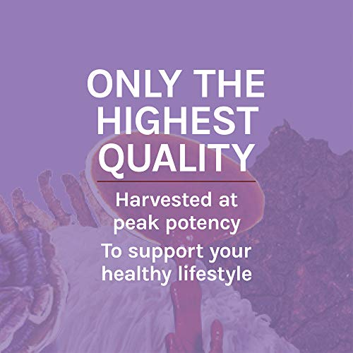 Host Defense, Lion's Mane Capsules, Promotes Mental Clarity, Focus and Memory Host DefenseAu supplements