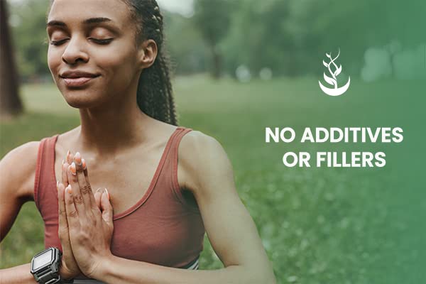 PURE ORIGINAL INGREDIENTS Yerba Mate (365 Capsules), No Magnesium Or Rice Fillers PURE ORIGINAL INGREDIENTSAu supplements