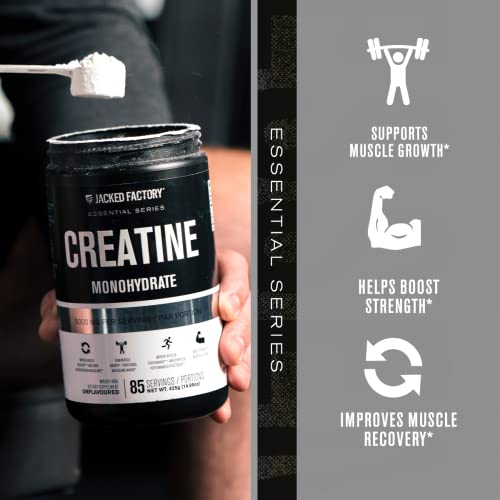 Jacked Factory Creatine Monohydrate Powder 425g - Creatine Supplement for Muscle Jacked FactoryUS supplements