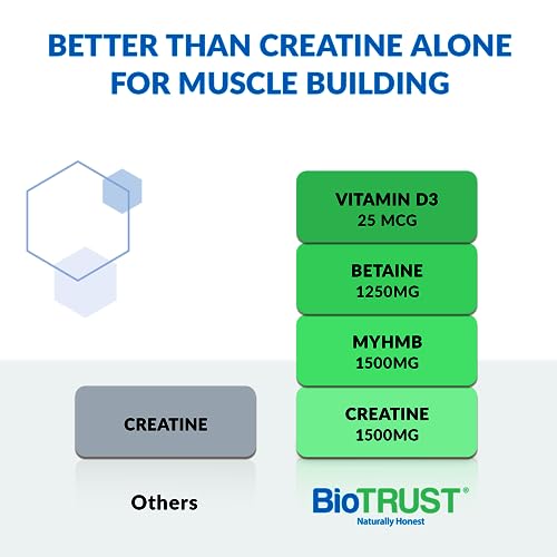 BioTrust Ageless Muscle Builder - Micronized Creatine Monohydrate Powder with HMB BioTrustAu supplements