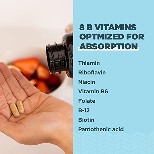 Ancient Nutrition Vitamin B Complex Supplement, 8 Balanced B-Vitamins, Supports Healthy Ancient NutritionUS supplements