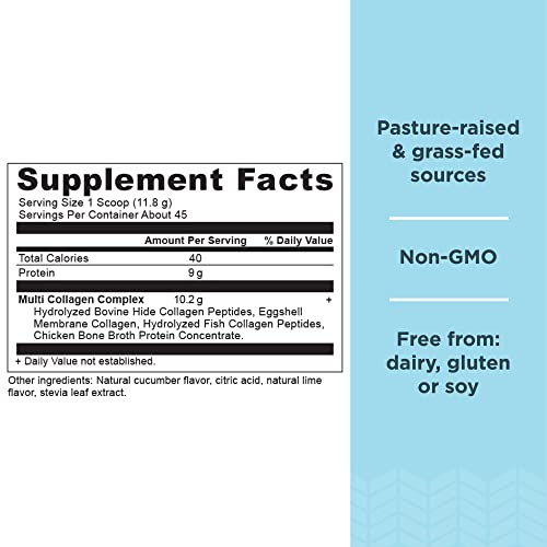 Ancient Nutrition Collagen Powder Protein, Multi Collagen Protein, Cucumber Lime, Hydroly Ancient NutritionUS supplements