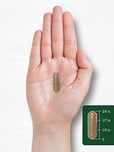 Carlyle Dandelion Root Capsules 1800mg | 300 Count | Non-GMO, Gluten Free CarlyleUS supplements