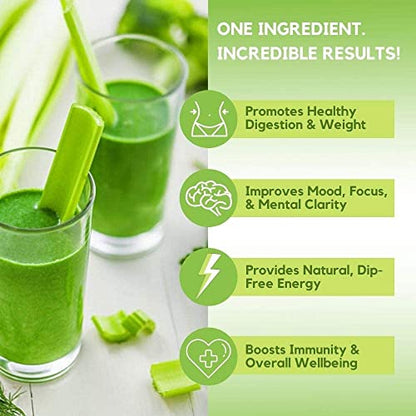 Organic Celery Juice Powder (40 Servings) Supports Gut Health, Detox Juice Cleanse Paradise Naturals, Purest Ingredients from the SourceUS supplements