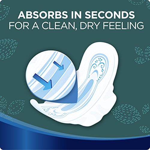 Always Ultra Thin Size 4 Overnight Pads With Wings Unscented, 14 Count (3700030165) AlwaysAu supplements