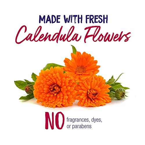 Boiron Calendula Cream for First Aid, Minor Burns, Cuts, Scrapes, Insect Bits and Sunburn - 2.5 oz BoironAu supplements
