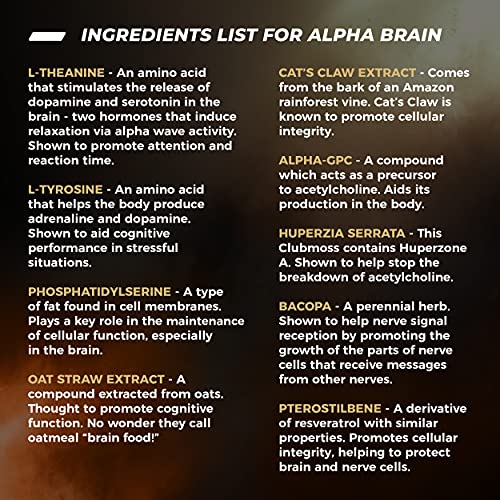 ONNIT Alpha Brain (120ct) - Over 1 Million Bottles Sold - Premium Nootropic Brain Sup ONNITUS supplements