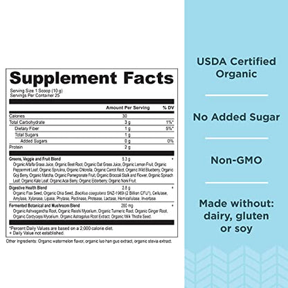 Ancient Nutrition Organic Watermelon Supergreens, 8.82 OZ Ancient NutritionUS supplements